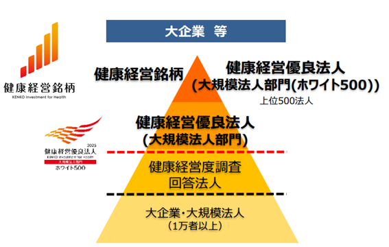 優良法人ピラミッド.png